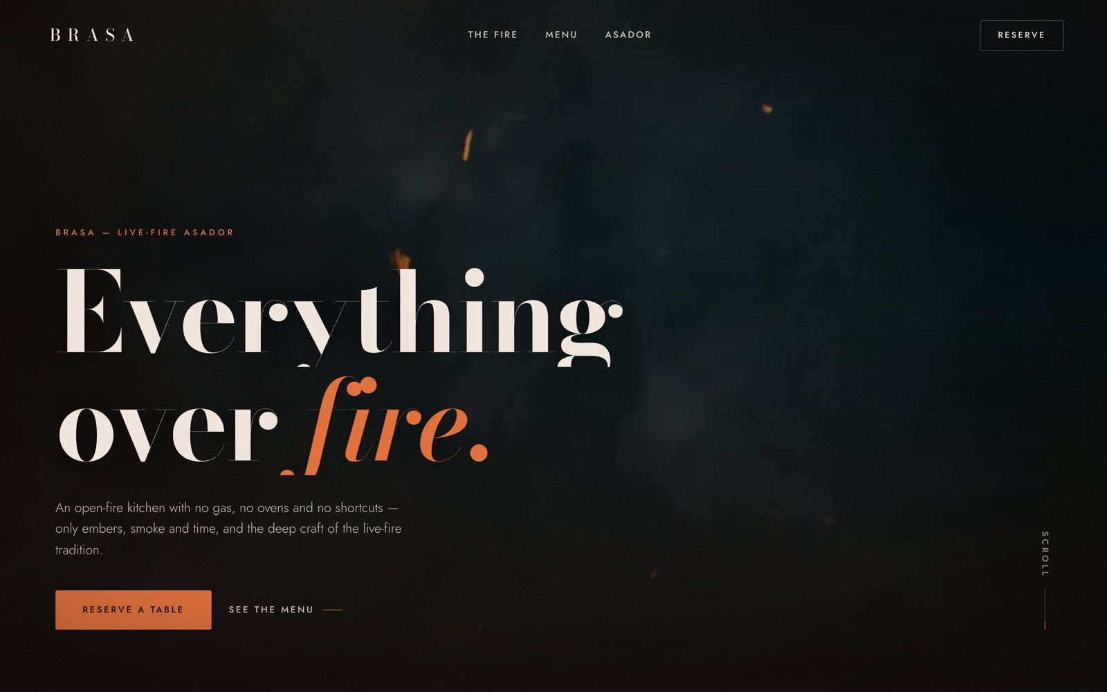 Brasa website concept