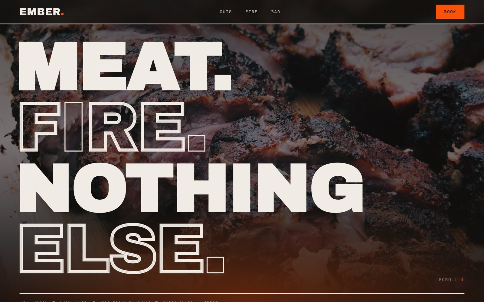 EMBER website concept