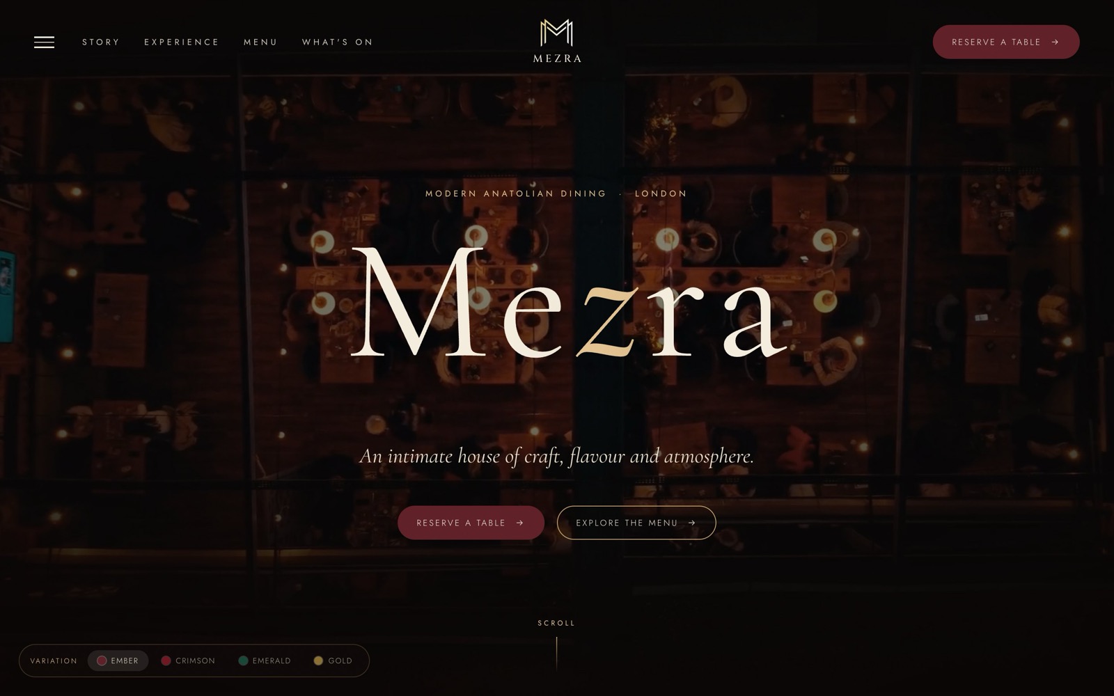 Mezra website concept