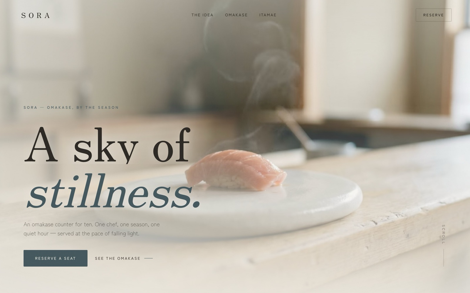 Sora website concept